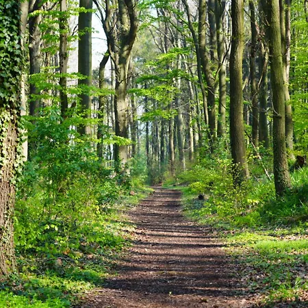 Nordloft * Bad Nenndorf