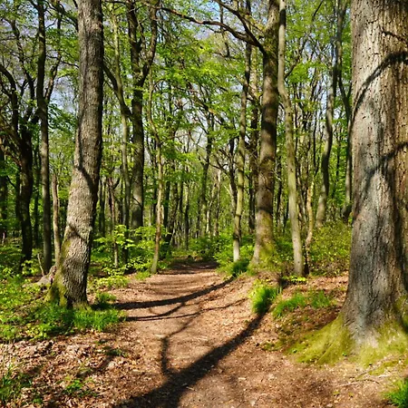Nordloft Apartment Bad Nenndorf