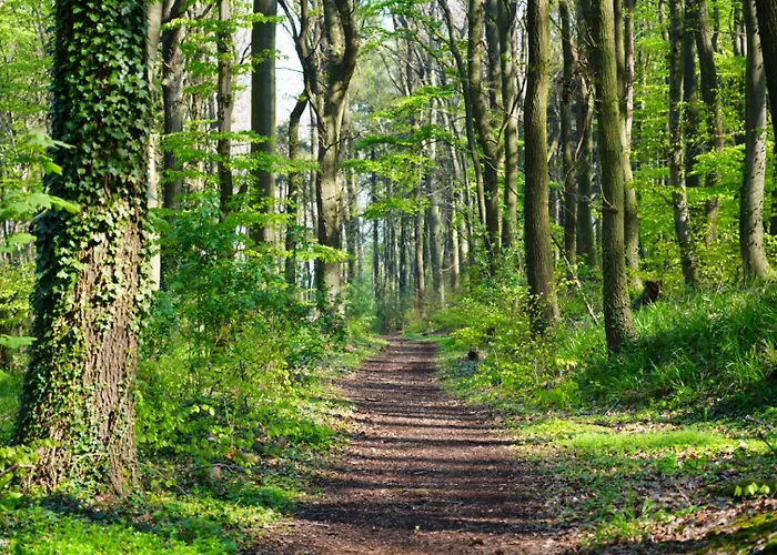 Nordloft * Bad Nenndorf