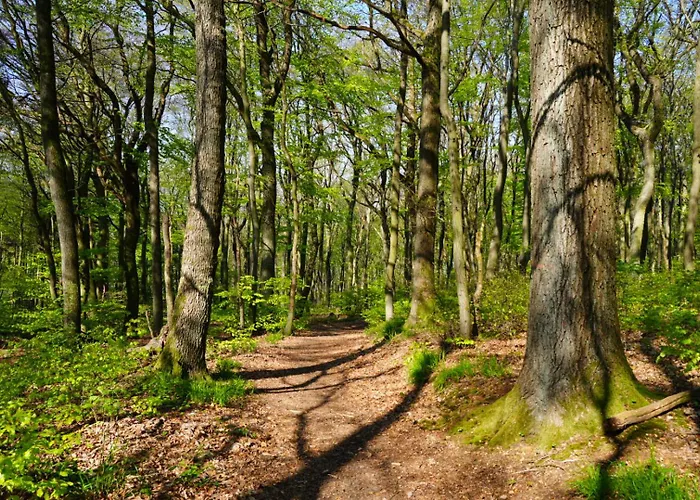 Nordloft Appartement Bad Nenndorf